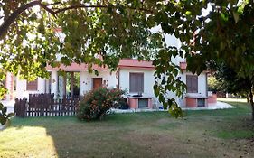 B&B Leonida